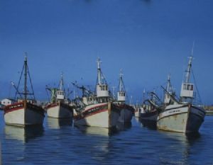 "Lamberts bay"