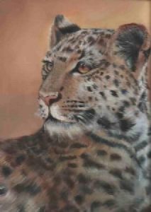 "Leopard"