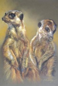"Meerkat Pair"