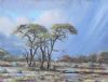 "Bushveld"