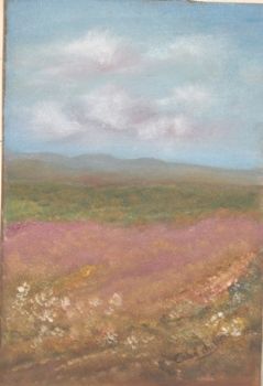 "Namaqualand Spendour"