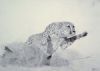 "Pouncing Cheetah"