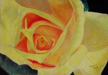 "Yellow Rose"