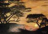 "Bushveld sunset"