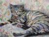 "Sleeping cat"