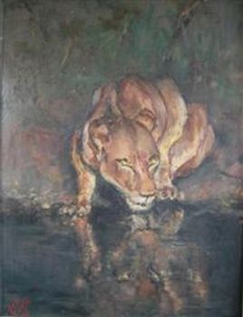 "Lioness at Waterhole"