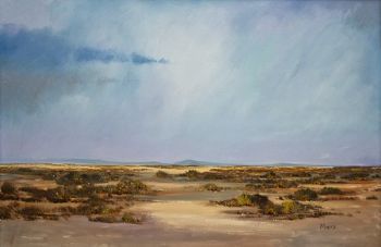 "vast Karoo"