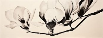 "Steel Magnolias"