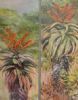 "Pair of Aloes 2008"