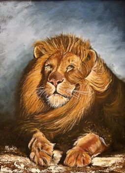 "Majestic Lion - big 5"