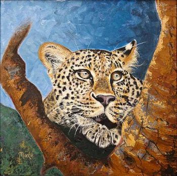 "Lazy Leopard - Big 5"