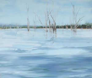 "Kariba 2011"