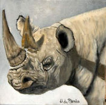 "Rhino study #9"