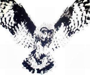 "Grandmother Owl"