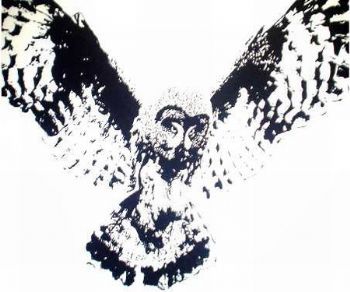 "Grandmother Owl"