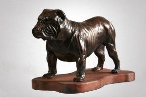 "Bulldog"