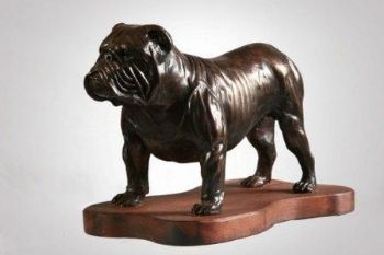 "Bulldog"