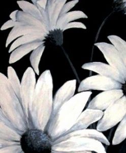 "Daisies 2"