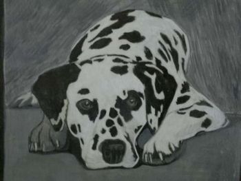 "dalmatian"