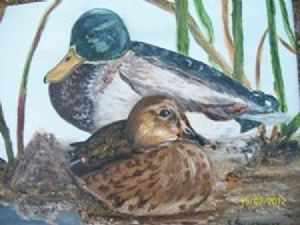 "Ducks nesting"