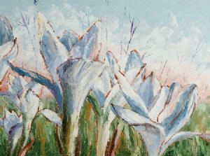 "Crocus"