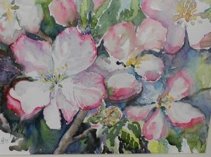 "Quince Blossoms"
