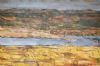"Landscape in the Wild 2010"