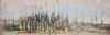 "Skyline of trees 2009"