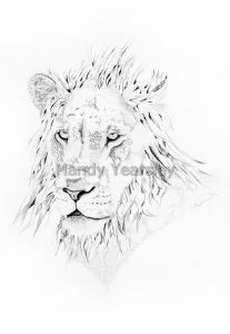 "Lion"