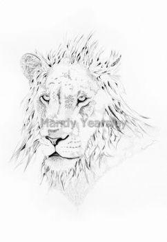 "Lion"