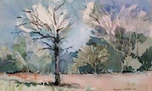 "Dusky Park"