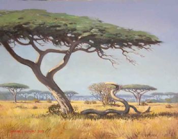 "Umbrella Thorn Trees"