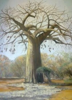 "Baobab"