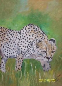 "Cheetah"