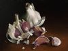 "Still Life with Garlic"