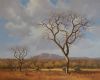 "Yonder Hills, Bushveld"