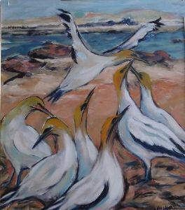"Gannets at Lamberts Bay"
