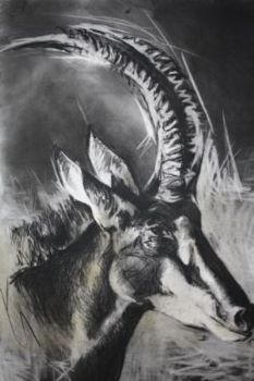 "Sable"
