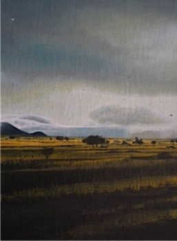 "Namibia after rain I"