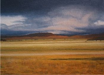 "Namibia After Rain Ii"