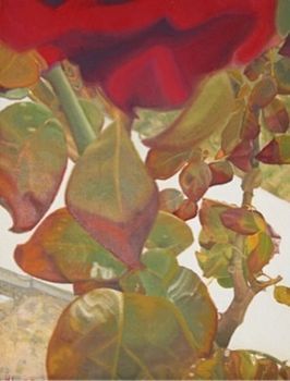 "Rose"