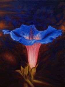 "Morning Glory"