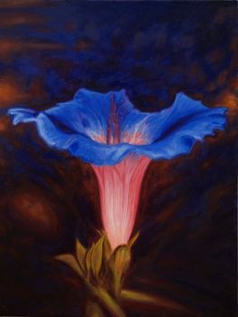 "Morning Glory"