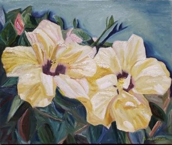 "Hibiscus"