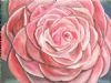 "Rose"