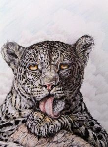 "Leopard Lick"