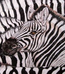 "Swimming in a Sea of Zebra"