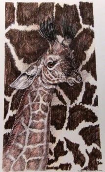 "Giraffes"
