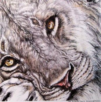 "Lion Awakening"
