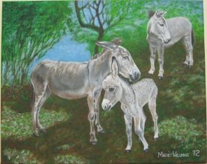 "Donkey Family"